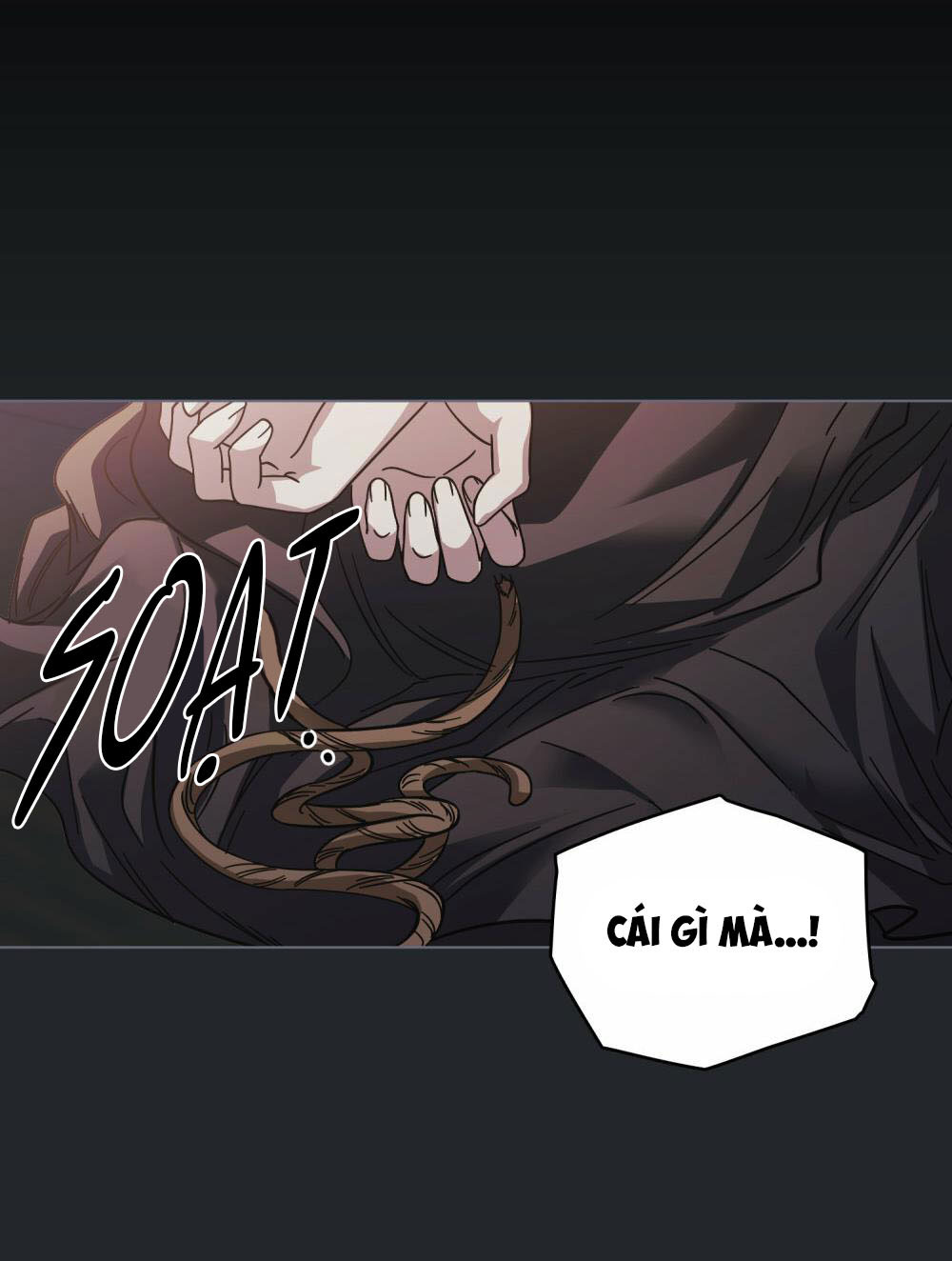 đi tìm nàng camellia chapter 48 24