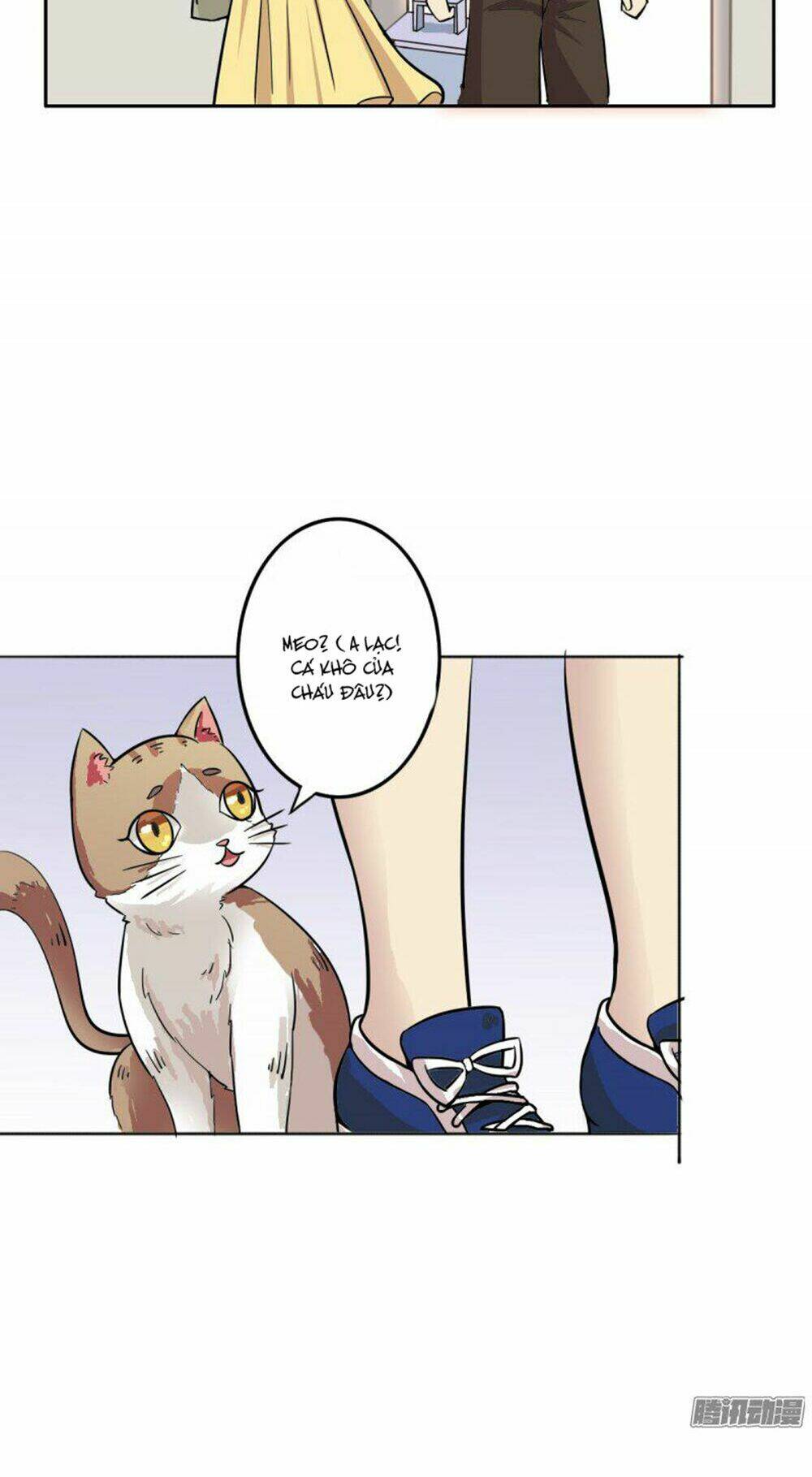 hai chú mèo totem chapter 4 16