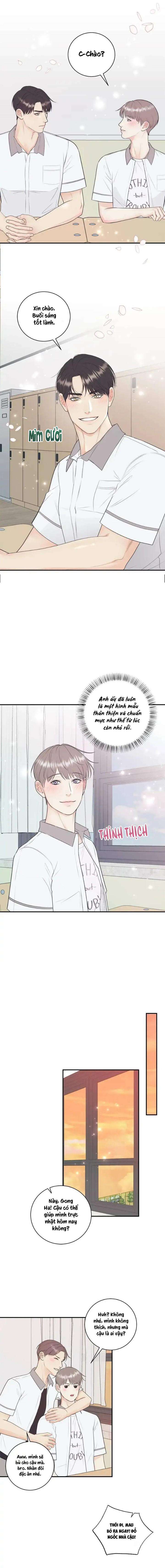 hạnh phúc trọn vẹn chapter 67 8