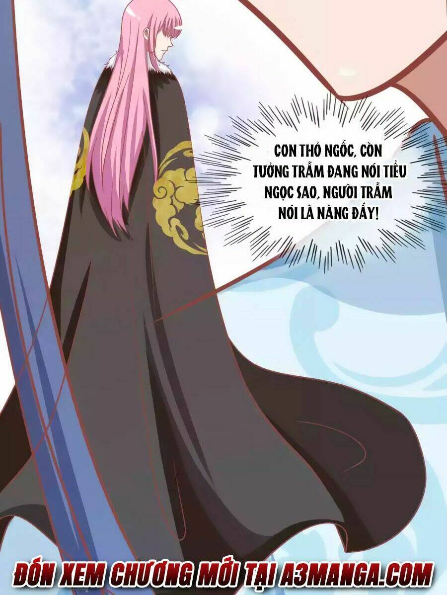 thỏ yêu tiểu vương phi chapter 42 31