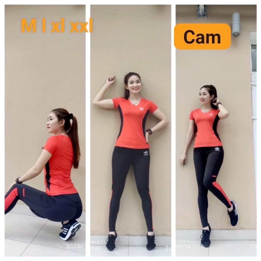 Set Đồ Tập Nữ Phủ Bụng Tập Thể Thao Gym Yoga Cao Cấp Nhiều Màu