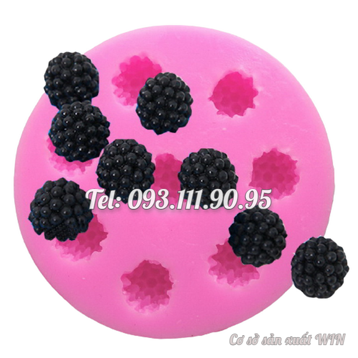 Khuôn rau câu silicon phúc bồn tử mâm xôi – Mã số 1712