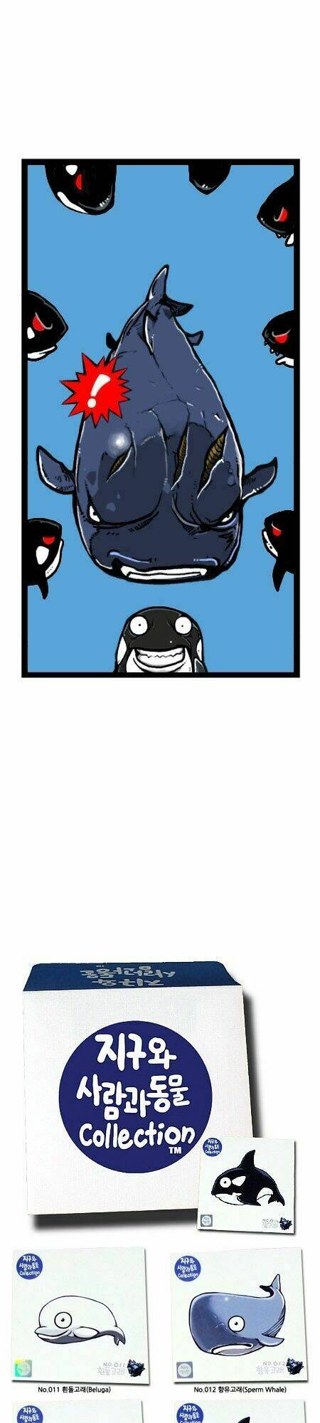 earth, human, and animal chapter 23 27