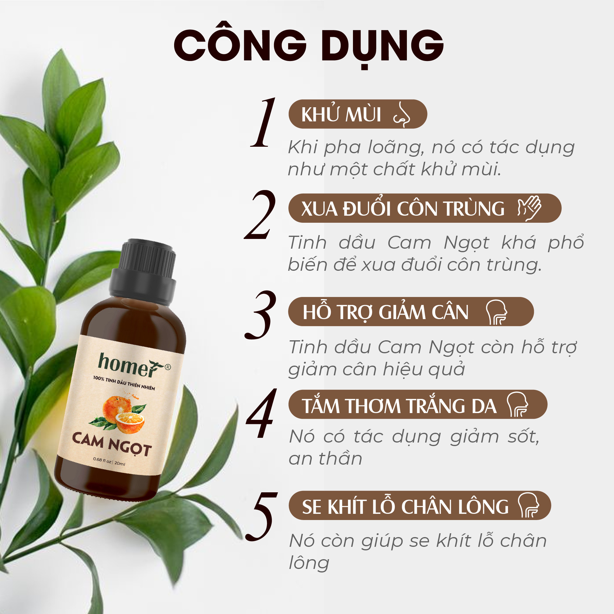 Tinh Dầu Cam Ngọt Homer 100ml - Chính Hãng, Đạt Chuẩn Kiểm Định Cao Cấp - Tinh Dầu Xông Thơm Phòng, Thư Giãn, Khử Mùi hiệu quả