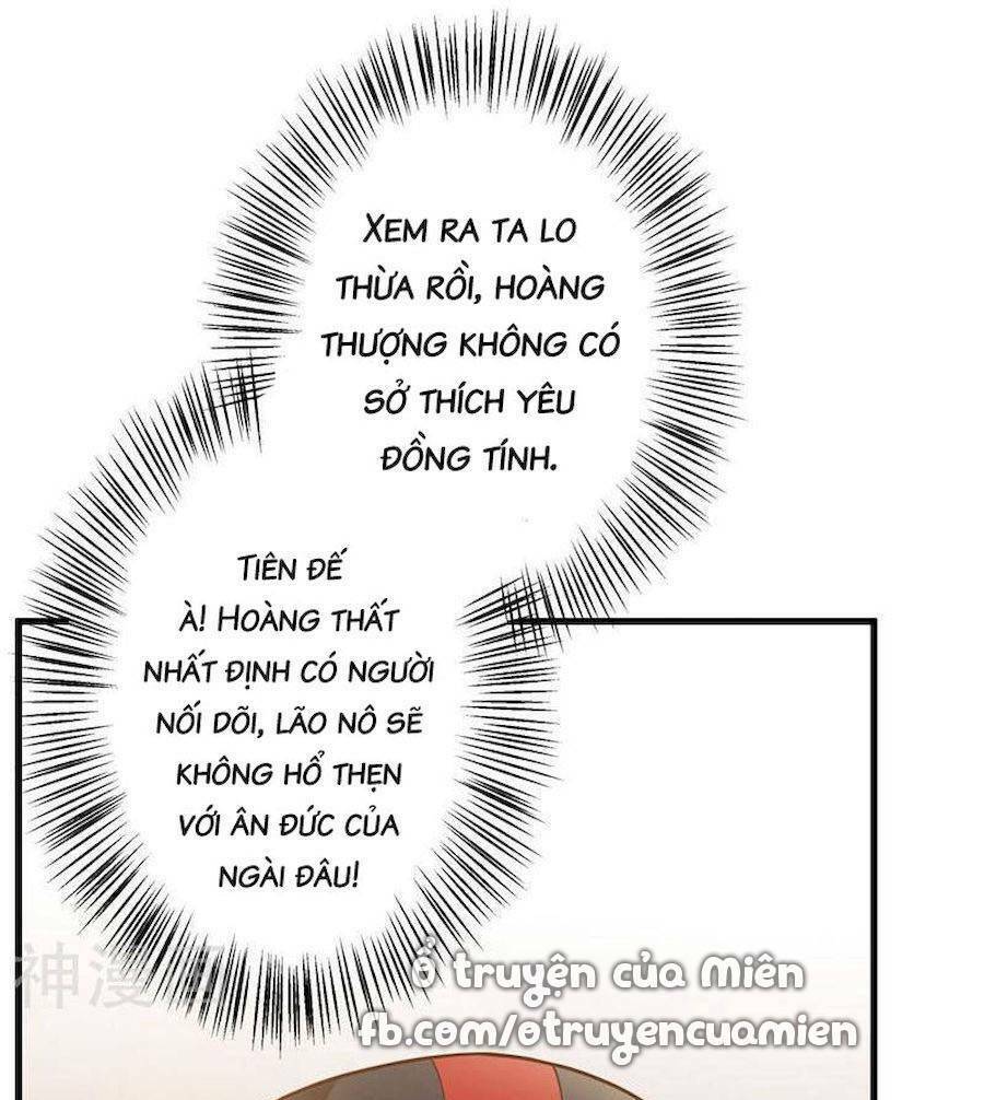 quý phi này có chút cơ chapter 20 24