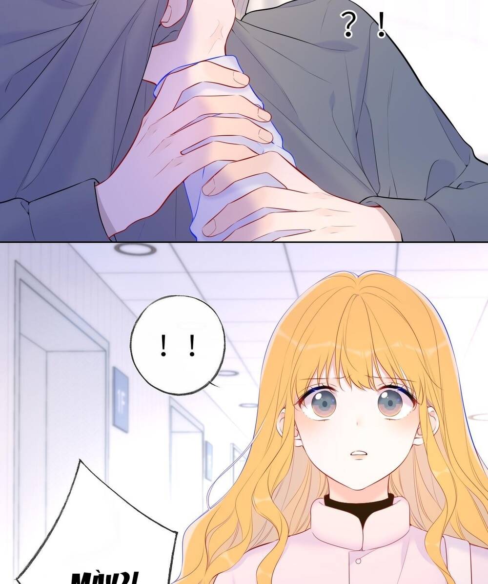 vì sao của tôi chapter 126 4