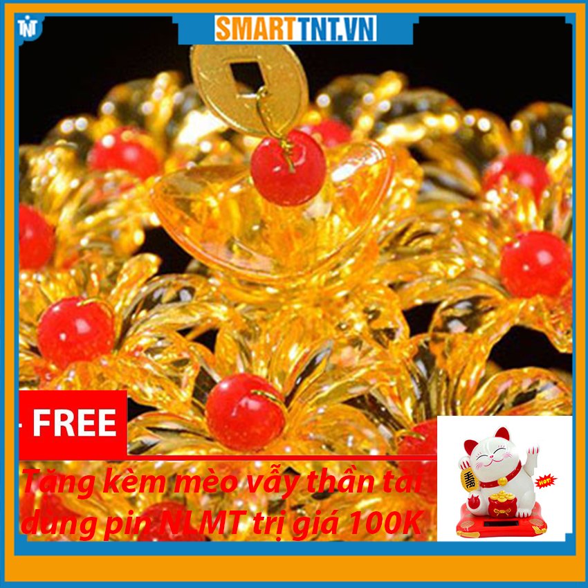 Combo cây kim tiền phát tài phát lộc đế thỏi vàng tặng mèo vẫy thần tài