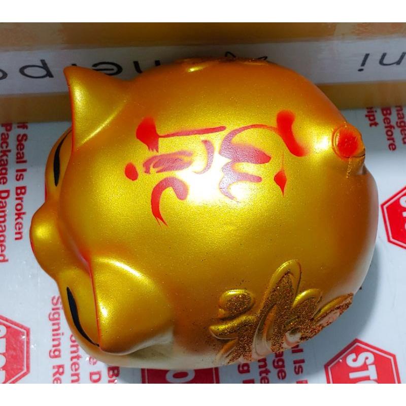 Heo đất mắt híp, lợn đất mắt híp