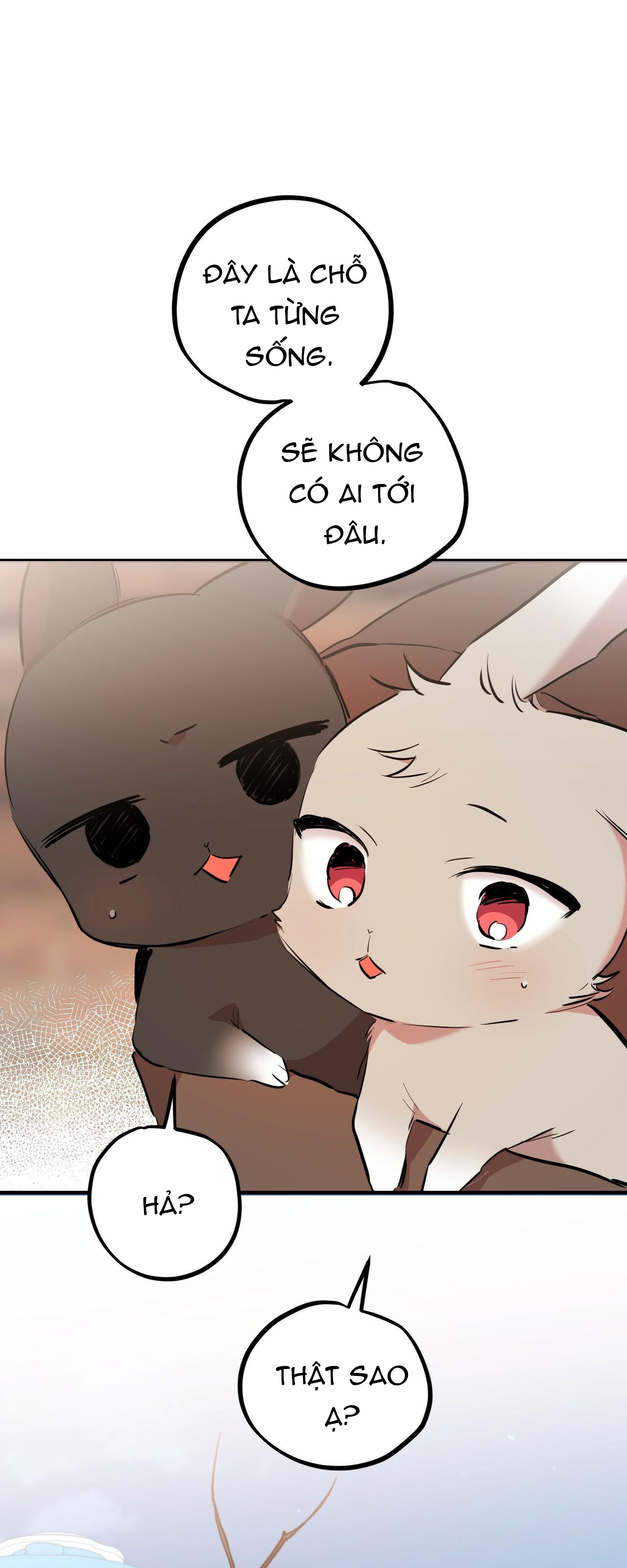 những chú thỏ của hapypy chapter 19 71