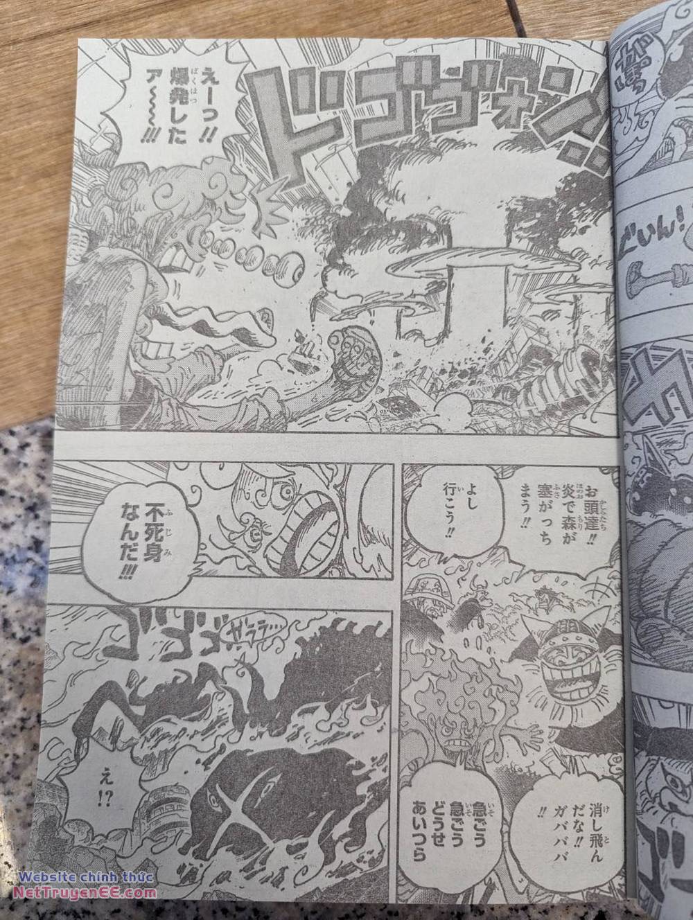 đảo hải tặc - one piece chapter 1111 20