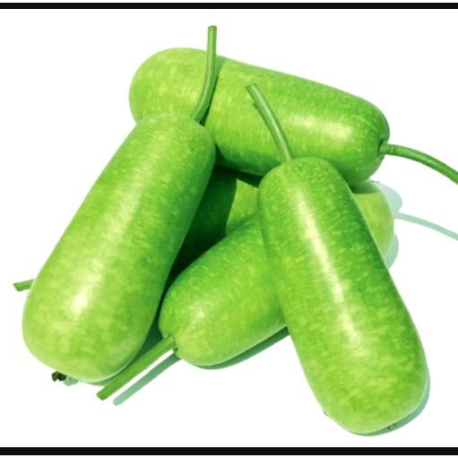 Hạt giống bầu lai ngắn siêu quả