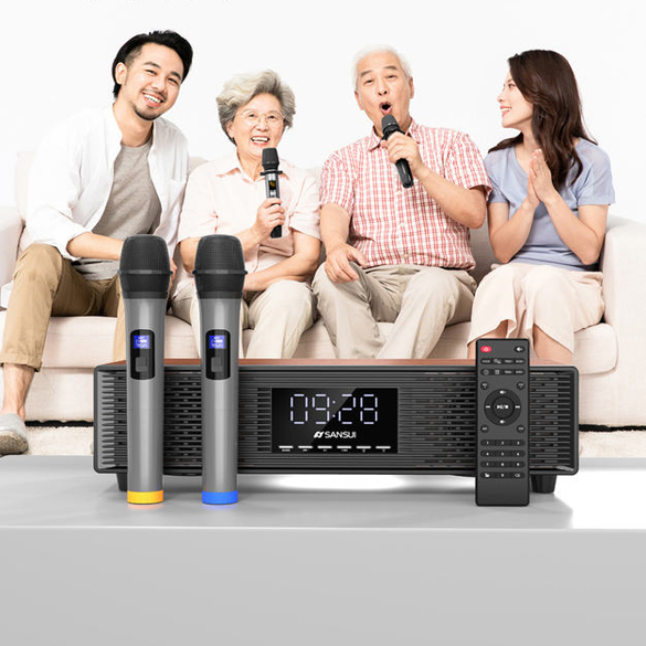 Loa karaoke Sansui P500 nguồn 12V có kèm 2 micro - âm thanh như loa thùng (nhiều màu) HÀNG NHẬP KHẨU