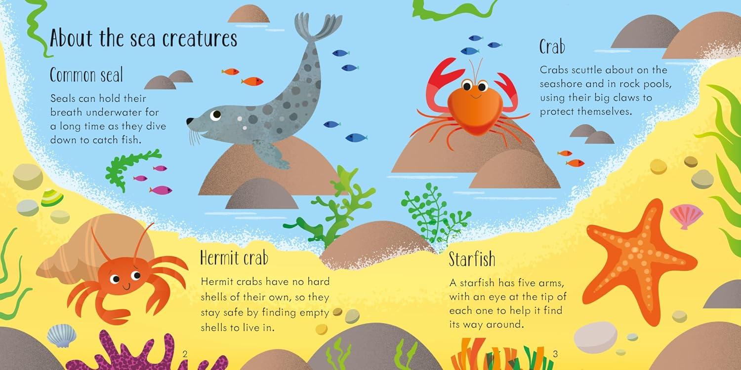Sách Under The Sea Matching Games And Book