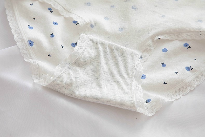 Combo 5 quần lót nữ cotton dễ thương Freesize kẻ xanh da trời