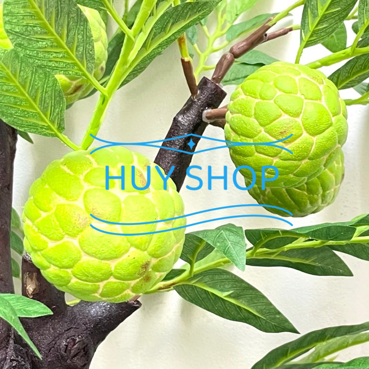 Gốc cây Trái MÃNG CẦU TA nhân tạo trang trí nhà cửa