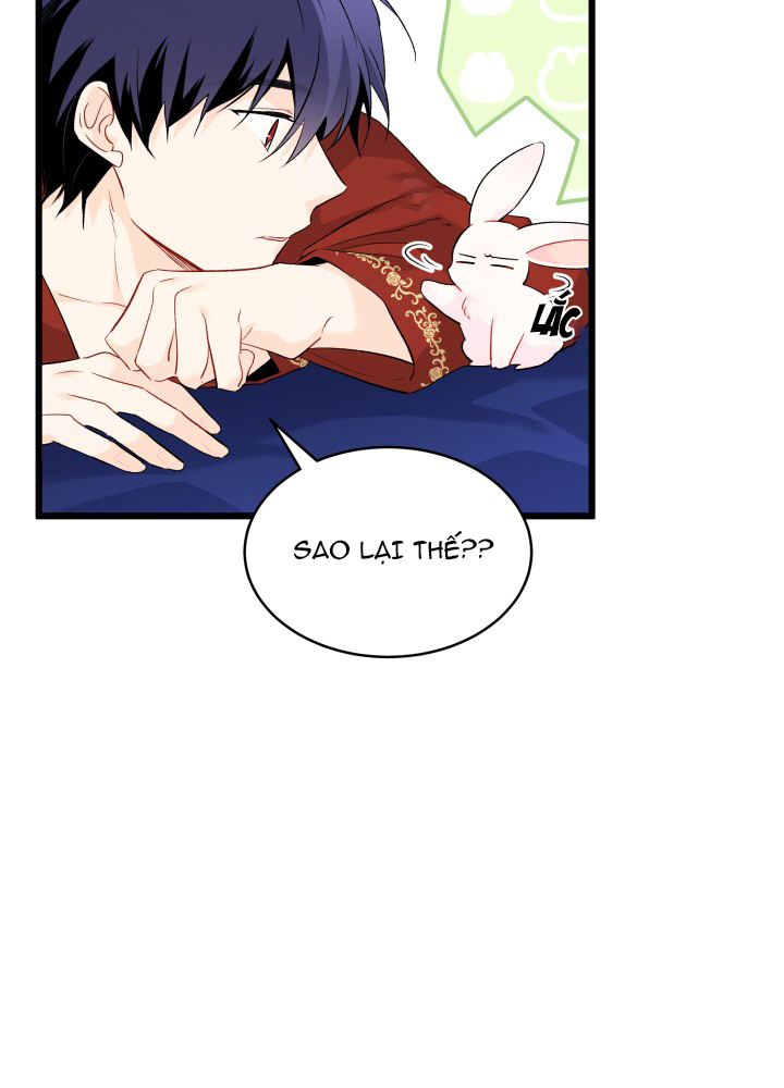 mối liên kết giữa báo đen và bé thỏ chapter 46 84