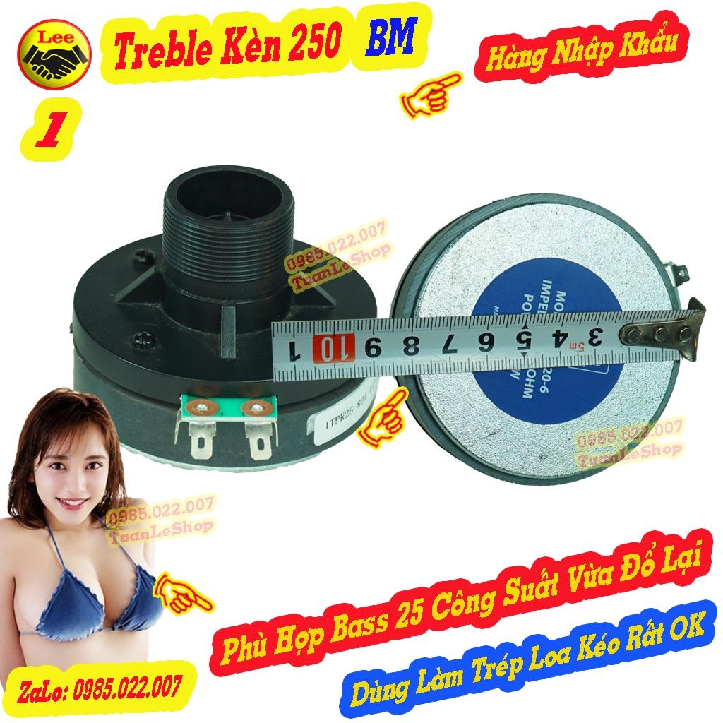 LOA TREP 250 BM REN XOÁY- HÀNG NHẬP -  LOA TREBLE  250 –TREBLE LOA KÉO – GIÁ 02 TREP 250