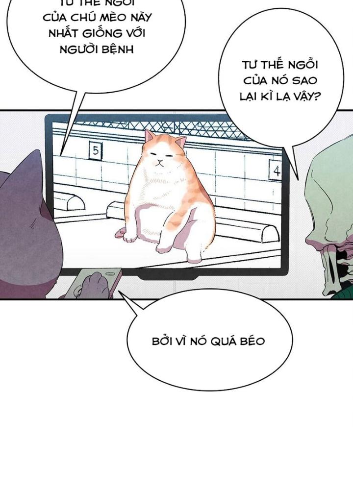 skeleton làm bố chapter 6 12