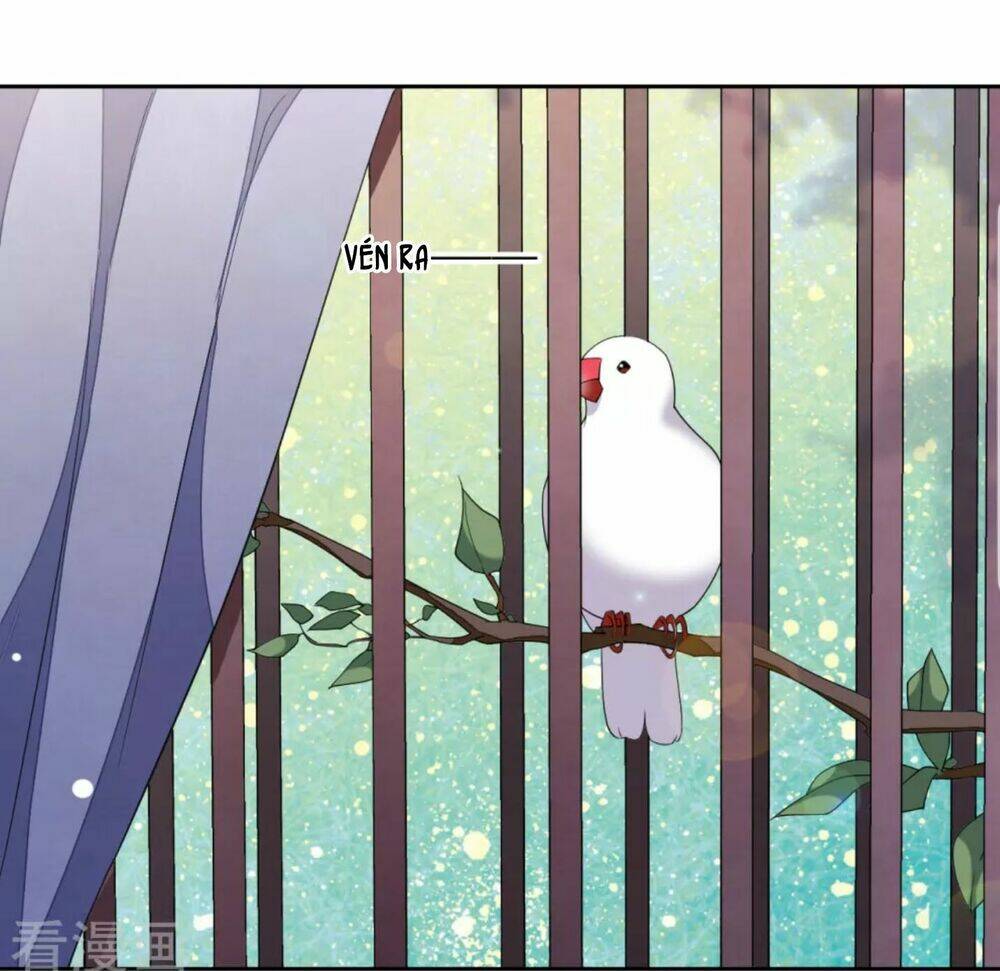 xuyên về cổ đại làm quốc bảo chapter 48 23