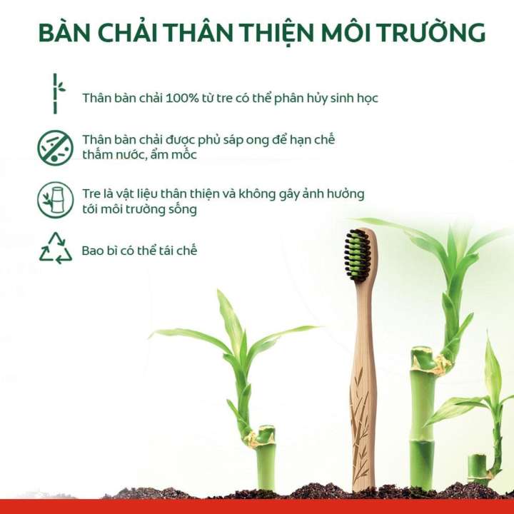 Bộ 3 bàn chải đánh răng Colgate than hoạt tính kháng vi khuẩn Bamboo Charcoal từ tre thiên nhiên