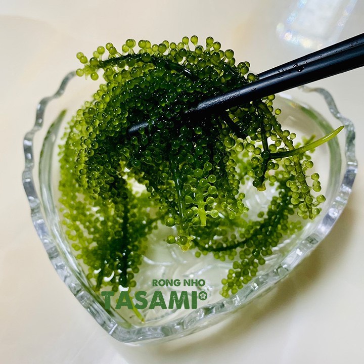 Rong Nho Tách Nước Tasami Kèm Xốt Phô Mai Cay - Hộp 175g