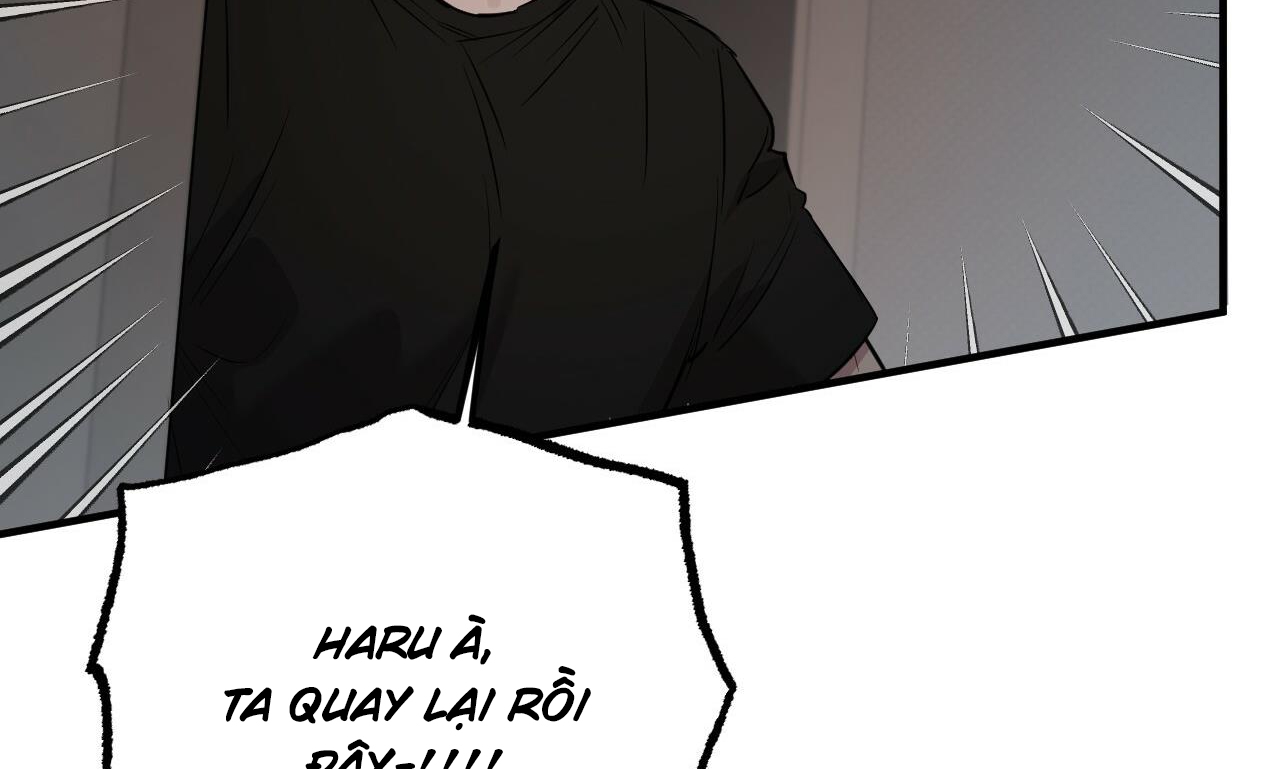 đàn thỏ của habibi chapter 52 211