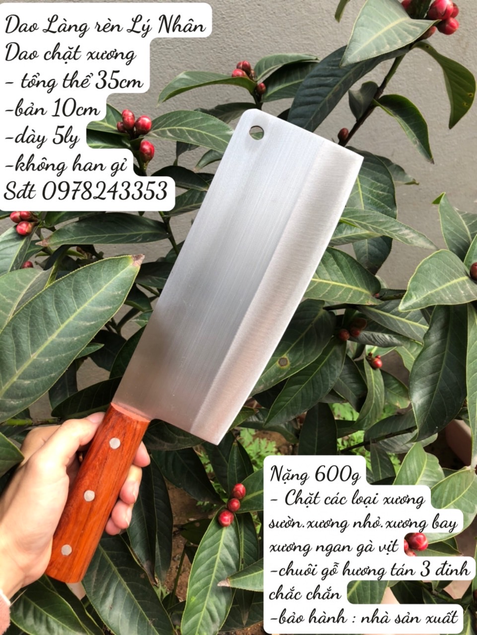 Dao chặt xương- gà vịt thép trắng k gỉ