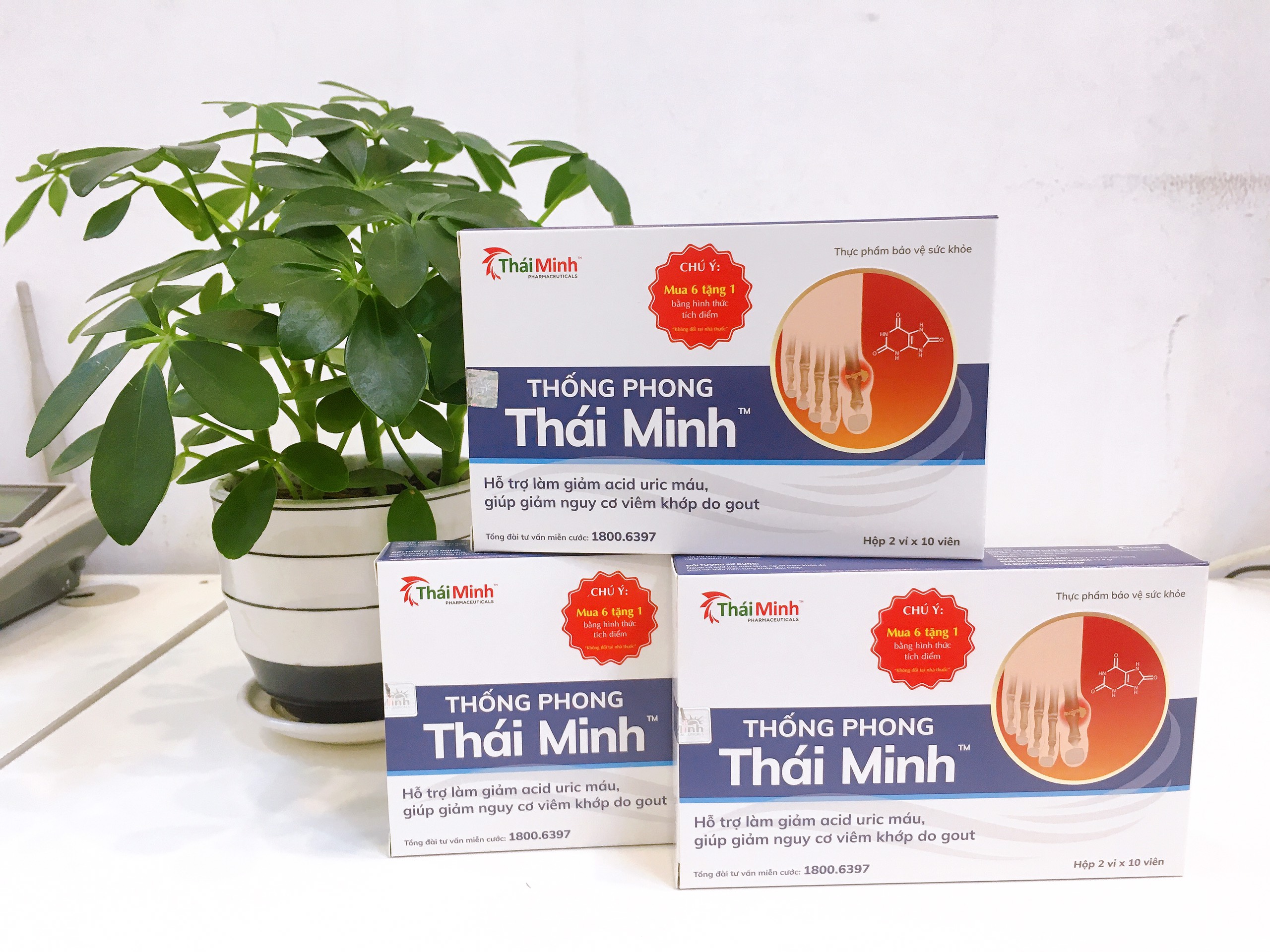 Combo 6 hộp Thống Phong Thái Minh