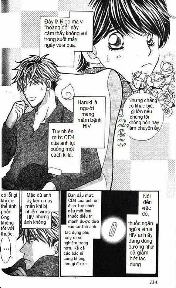 diamond life chapter 13 6