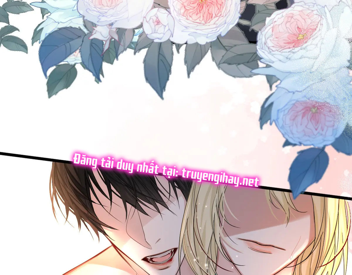 nhân ngư sa ngã chapter 28.1 16