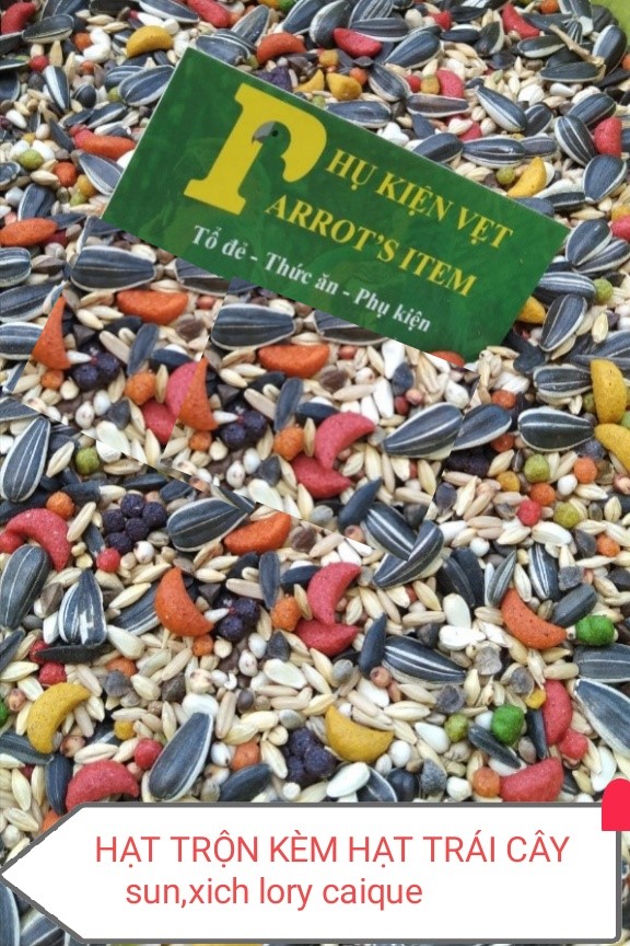500G HẠT TRỘN KÈM HẠT TRÁI CÂY CHO CÁC DÒNG VẸT TRUNG NHƯ LORY, CAIQUE, SUN, XÍCH, RING NECK