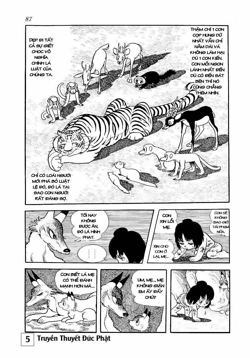 buddha - truyền thuyết đức phật chapter 24 41