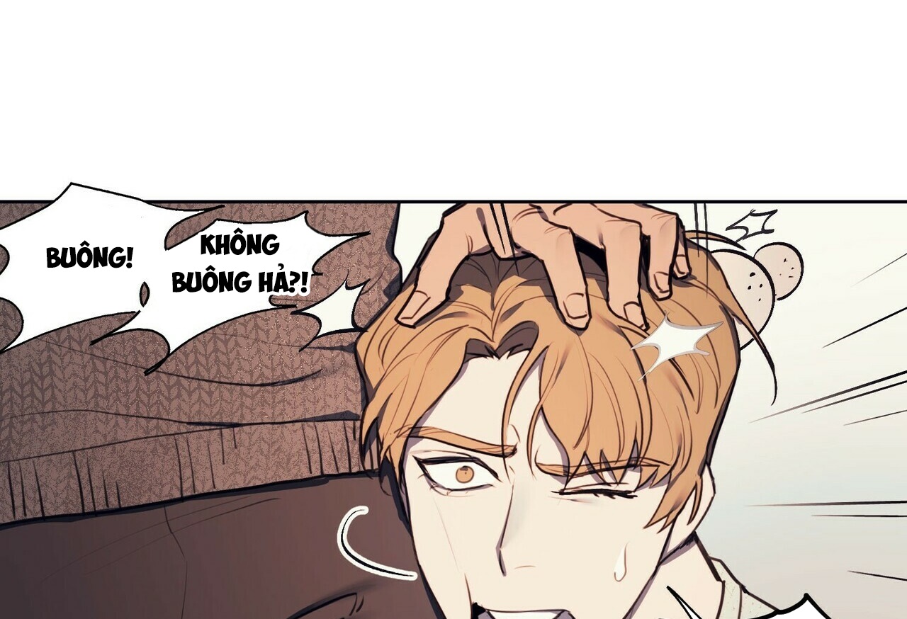 chàng dâu nhà họ kang chapter 1 36