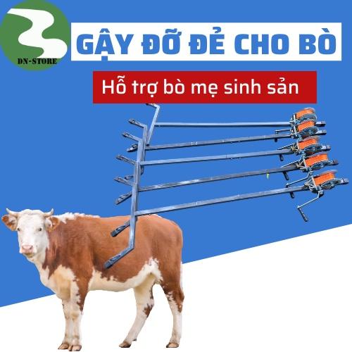 Gậy đỡ đẻ cho Bò - Dài 1.75m
