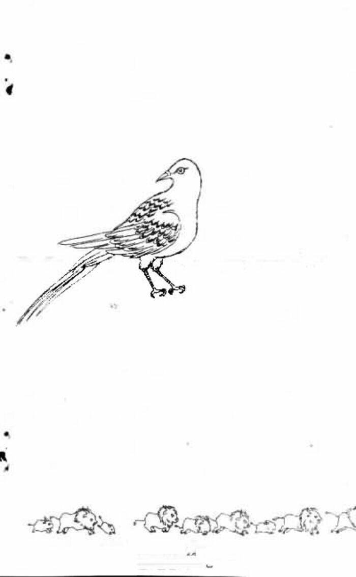 tiệm thú kiểng chapter 38 51