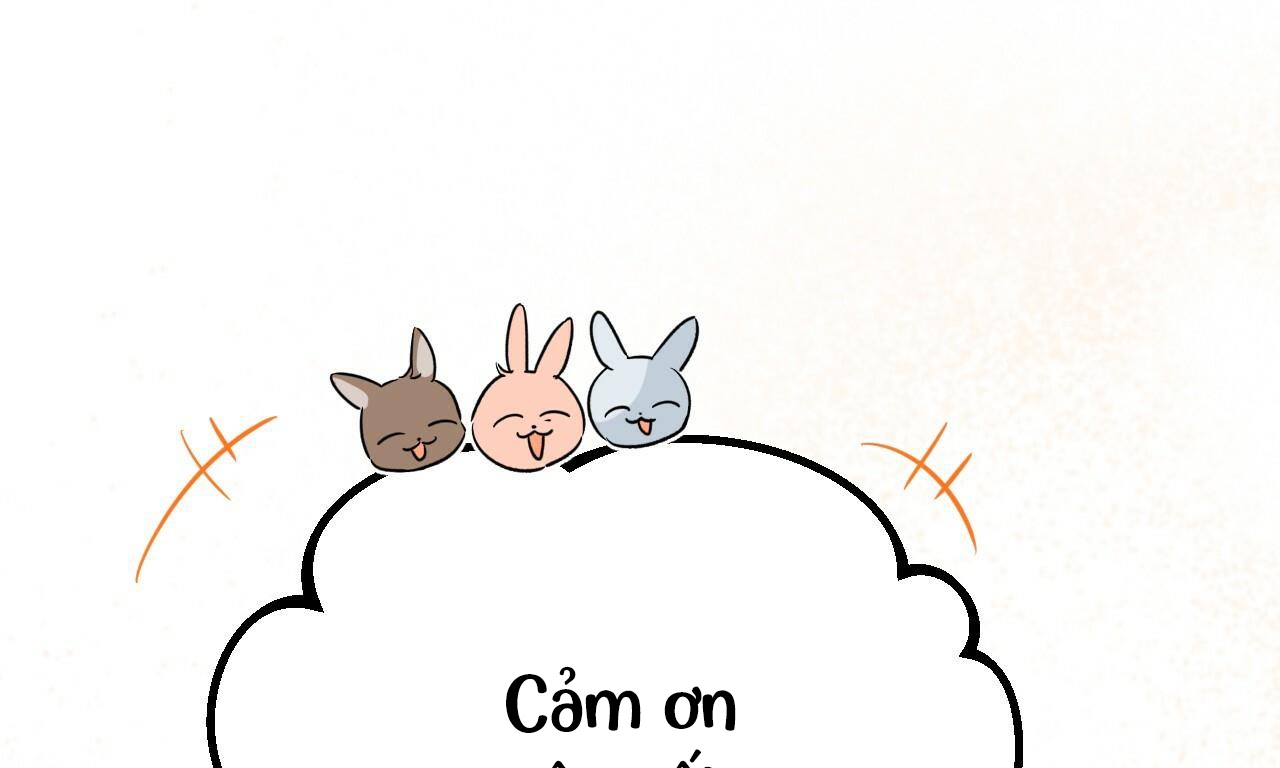 những chú thỏ của hapypy chapter 53 12