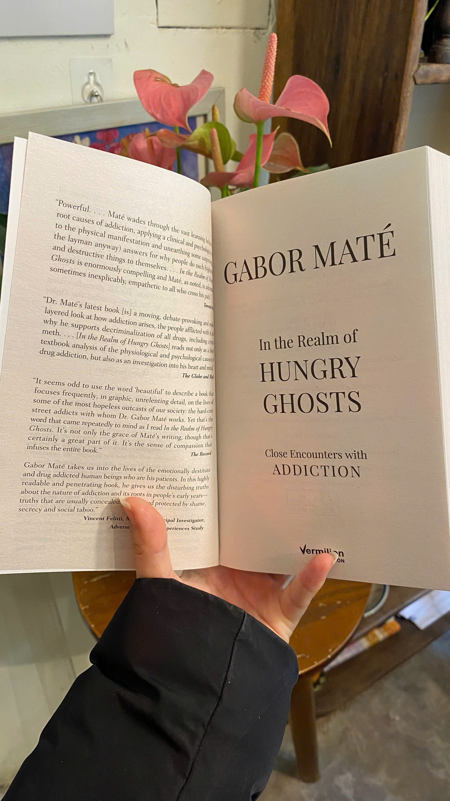 Sách - In the Realm of Hungry Ghosts: Close Encounters with Addiction by Gabor Maté | Ngoại văn