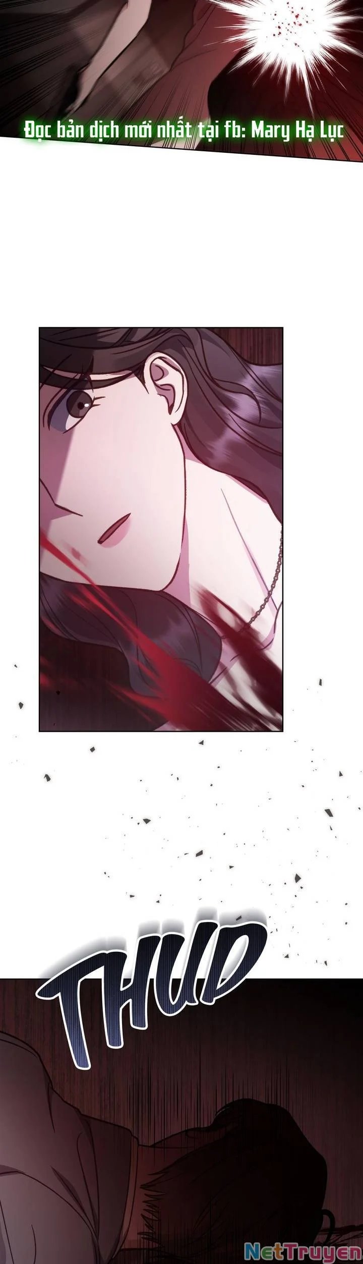 kẻ nghiệp dư chapter 26.5 12