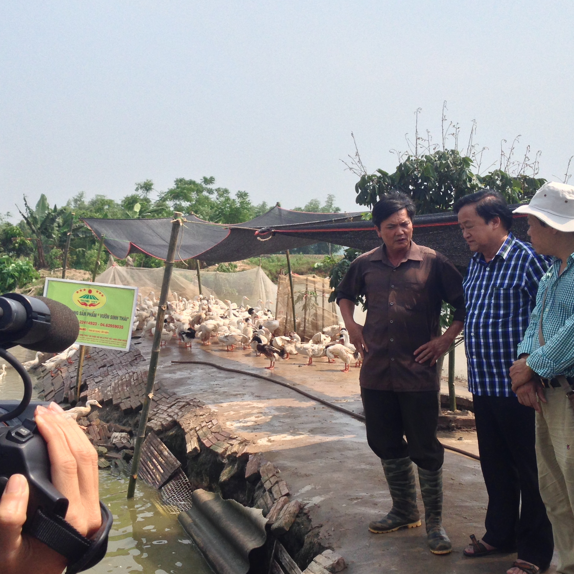 Chế phẩm sinh học VƯỜN SINH THÁI chăn nuôi Vỗ Béo không Mùi Hôi - Vật nuôi chắc thịt lớn nhanh ít bệnh dịch - Thức ăn bổ sung cho lợn gà chó mèo chim