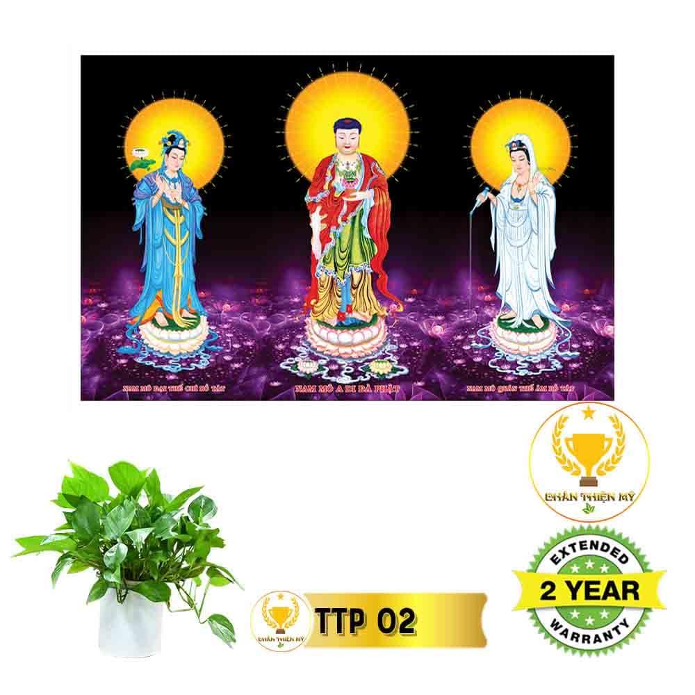 Tranh điện Tam Thế Phật_TTP1