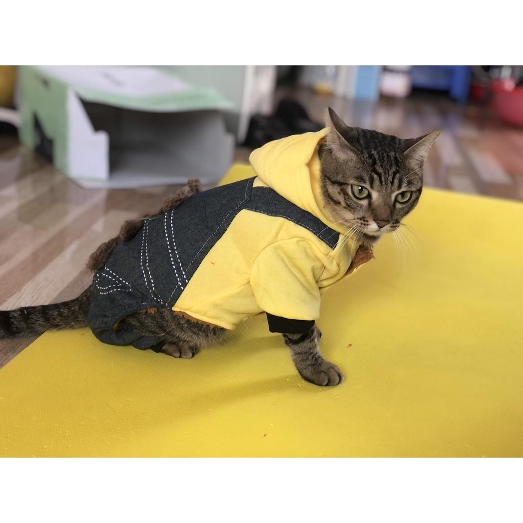 Áo thú cưng, áo mùa đông thú cưng