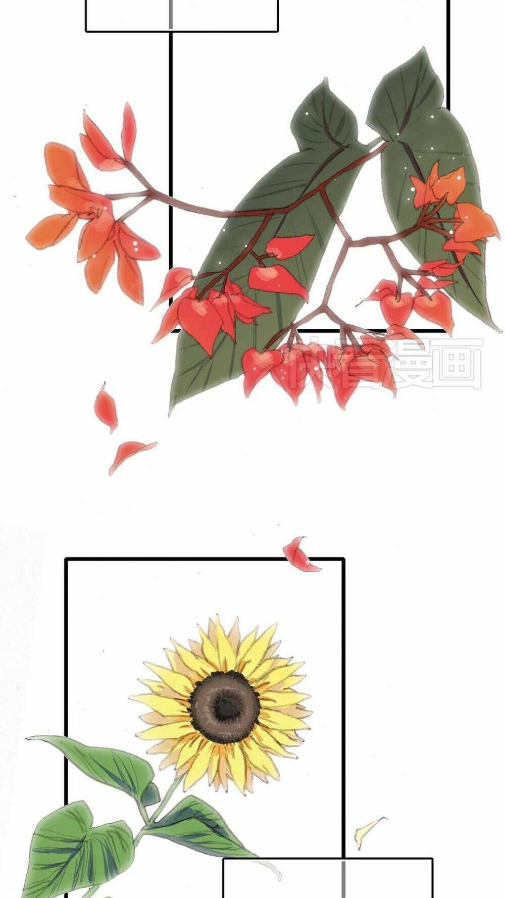 lông mày chapter 4 34