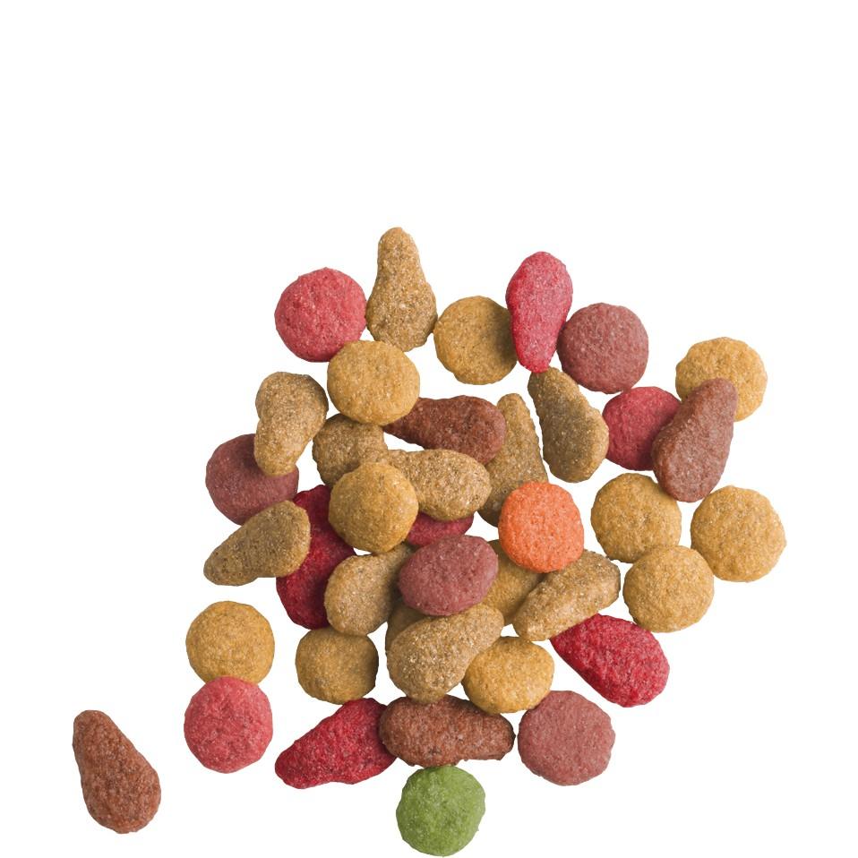 Thức Ăn Cho Mèo Trưởng Thành Dạng Hạt Vị Cá Hồi - Versele-Laga Lara Adult Salmon Bổ Sung Vitamin Và Khoáng Chất Gói 350r