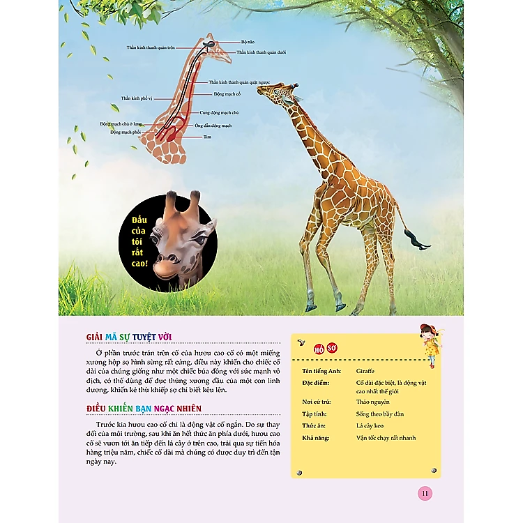 Sách Bách Khoa Toàn Thư Tìm Hiểu Về Trái Đất - ảnh 9