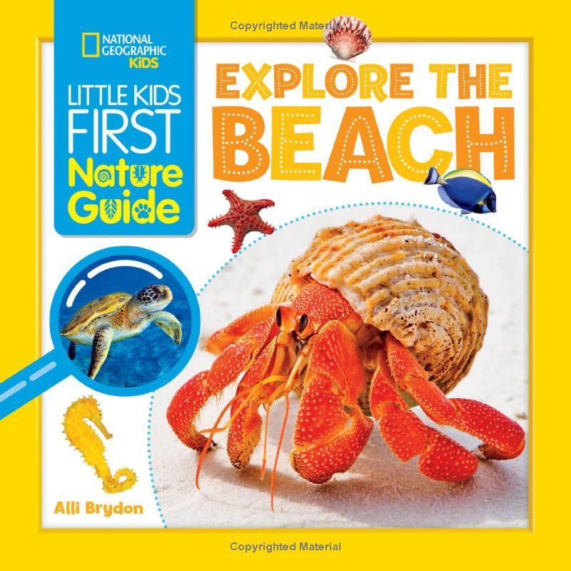 Sách ngoại văn: Little Kids First Nature Guide - Explore The Beach