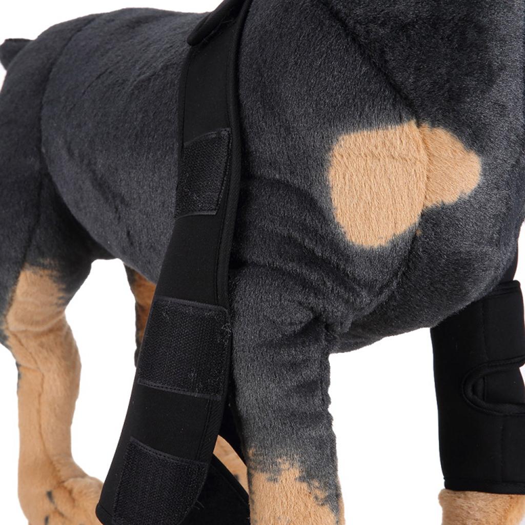 Dog Leg Brace Knee Leg Joint Protector Support Prevents Injuries and Sprains