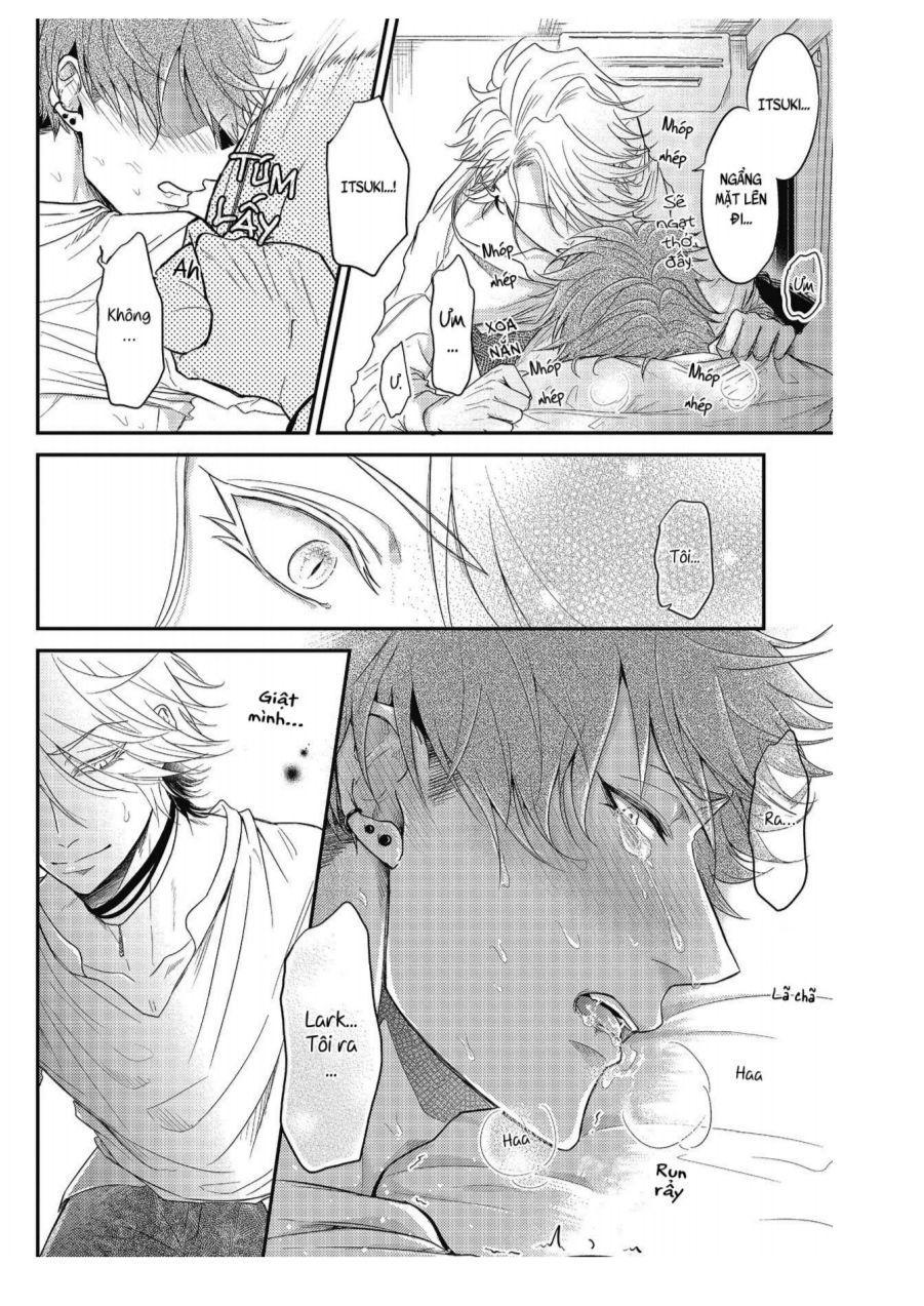 [18+] vết cắn tình yêu khô khan và giả dối chapter 2 31