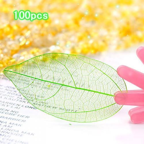 100 Pieces Natural Plant Leaves for Craft Cards Scrapbooking Bookmark DIY