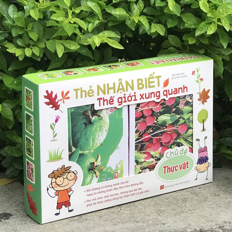 Thẻ Nhận Biết Thế Giới Xung Quanh - Thực Vật