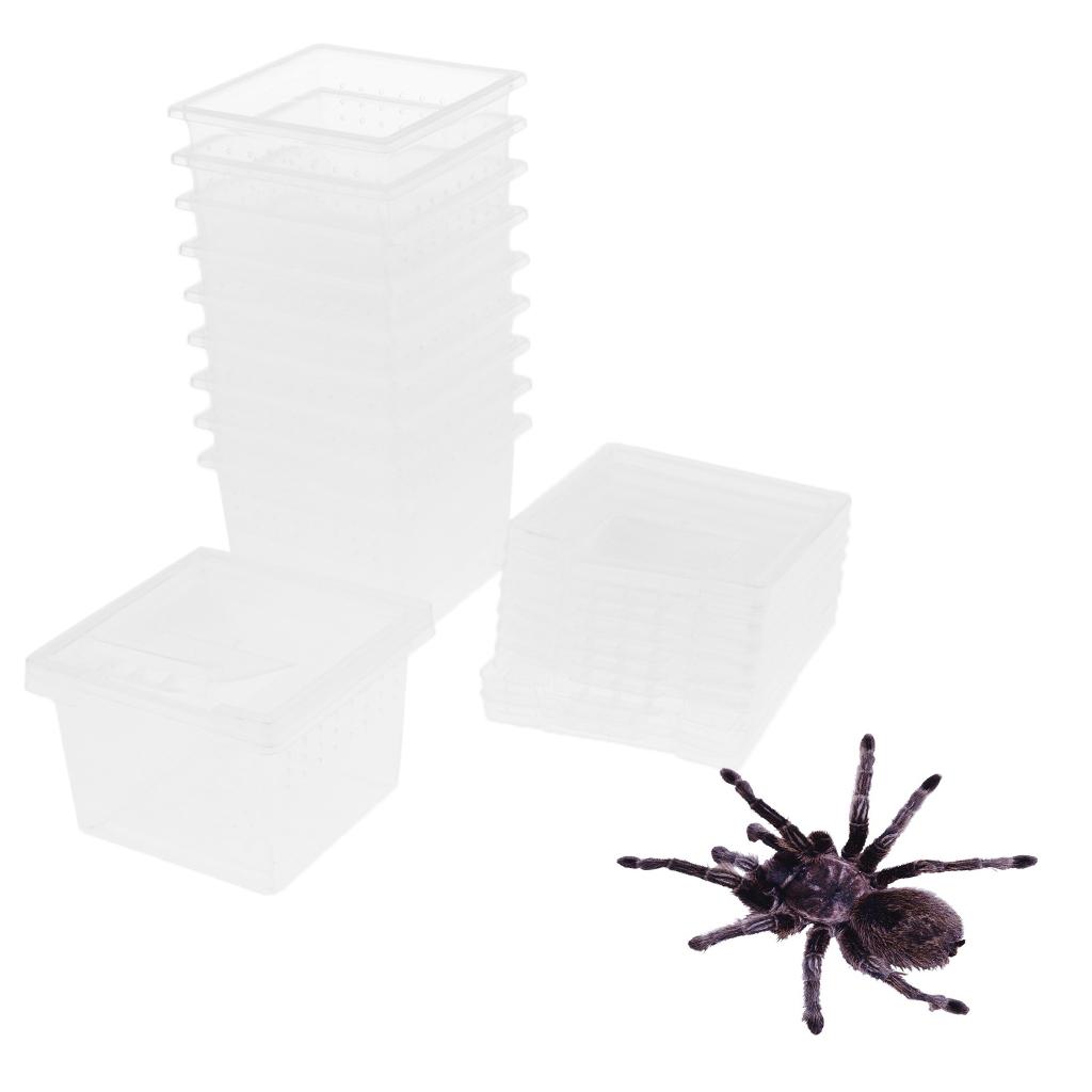 Set of 40 Clear Reptile Spider Lizard Scorpion Breeding Box Container Cage